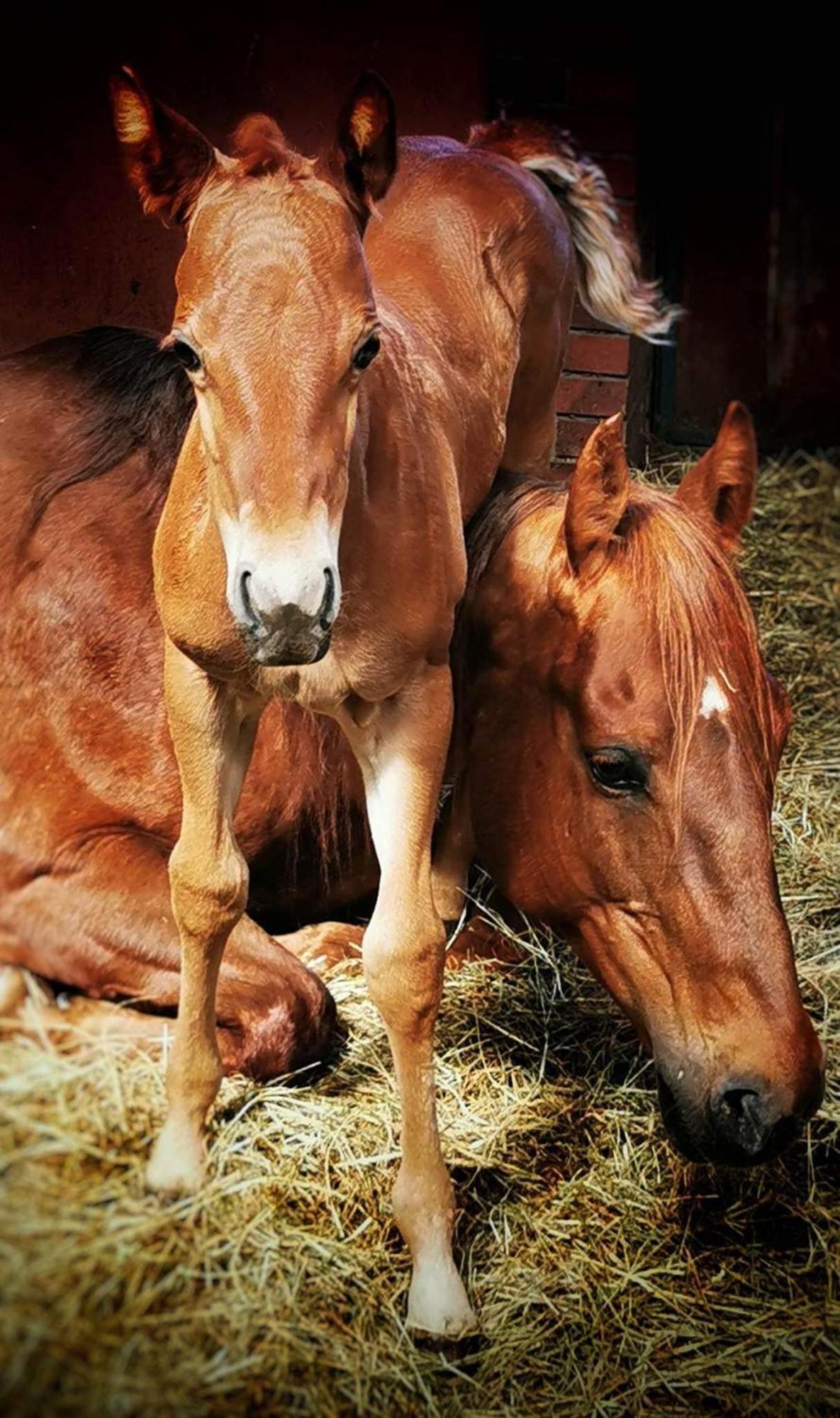 Campoverde Grabina Dış mekan fotoğraf